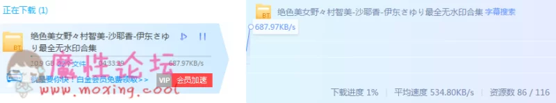 迅雷测速.PNG